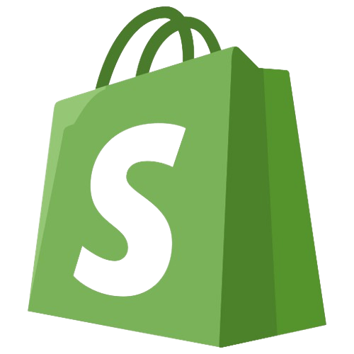 Shopify ECommerce Store in Delhi