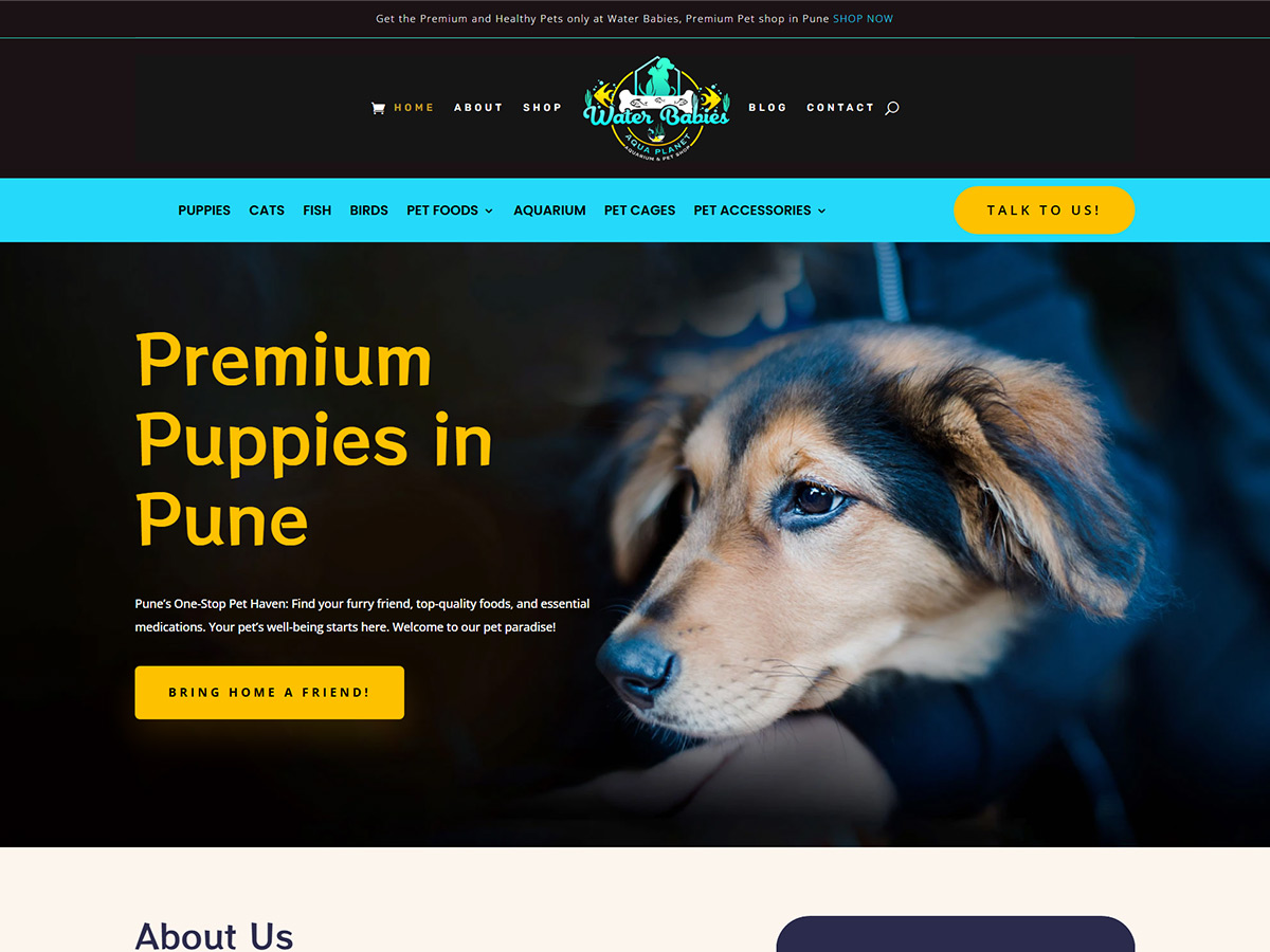 water-babies-website-design Pet ecommerce website showcase for Water Babies